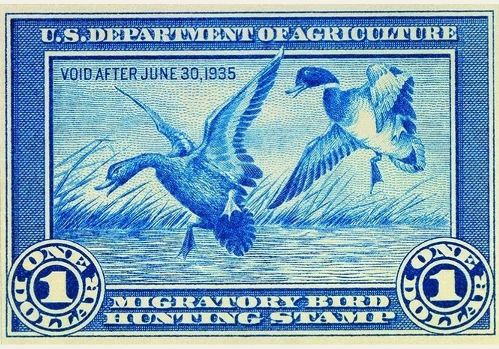 Public-domain reference scan of the blue 1934-35 one-dollar federal hunting stamp design with two mallards