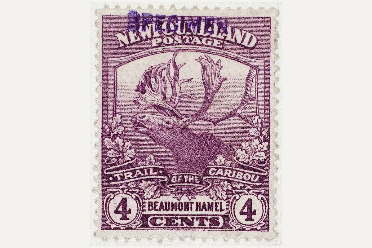 Historischer Scan einer Neufundland-Marke von 1919 zu 4 Cent mit Beaumont-Hamel-Motiv und sichtbarem SPECIMEN-Aufdruck